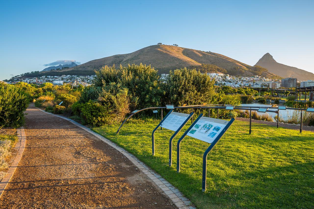 Cape Royale Apartment 810 Κέιπ Τάουν Εξωτερικό φωτογραφία